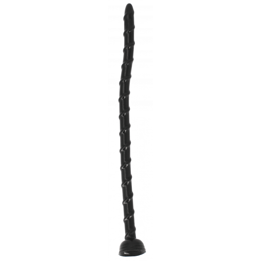 Analkette Eoraptor 44 x 2 cm